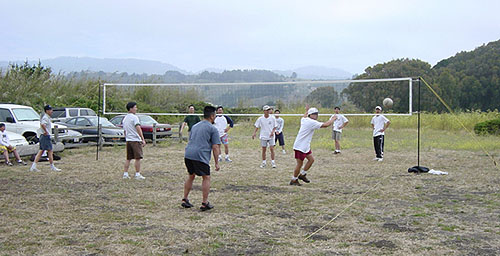 volleyball